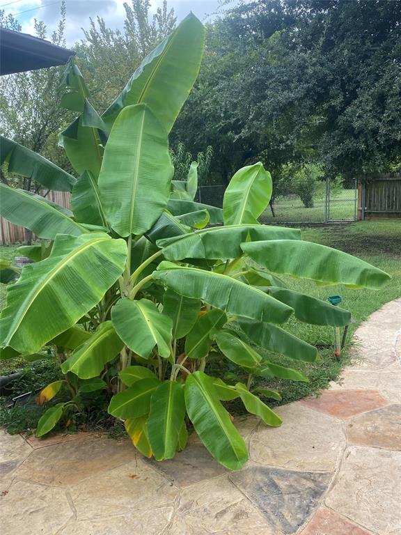 Willow Wood Ranch Estates Ph II - Residential