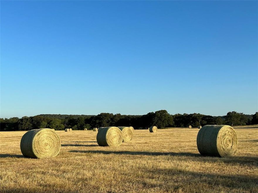 Partial owner financing available! Don't miss this amazing opportunity to own over 93 gorgeous acres in the heart of Parker County. The property is fenced and cross fenced with 4 tanks, the most beautiful trees, and a seasonal creek. It would be perfect for a horse or cattle operation, outdoor recreation, development or just a family looking for peace and quiet. The opportunities are endless! As an added bonus there is a cute, OLD farmhouse with a barn and an old, hand built, stone storm cellar perched perfectly on a hill top with views for miles. You can just feel the history and character of the property from here. With the utilities already in place it's just begging for a new, magnificent home to match those magnificent views. The sunsets from that hill are absolutely mesmerizing. You have to see it to believe it! The property location is ideal being just minutes to I-20 and HWY 180 which makes Weatherford, Mineral Wells, and Fort Worth all just a short drive away. Plus, Millsap Elementary is just blocks away.
