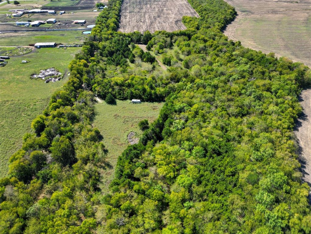 DALE CATHERINE - Land