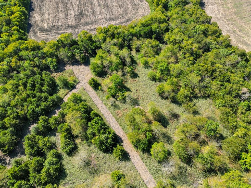 DALE CATHERINE - Land