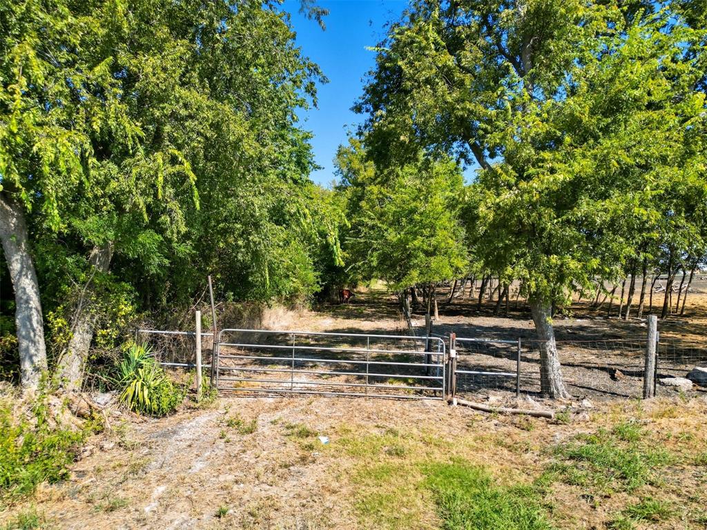 DALE CATHERINE - Land