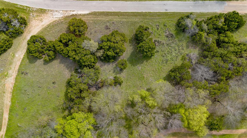 White Bluff #19 - Land