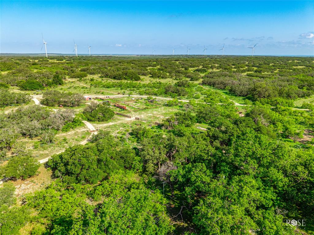 4785 County Road 1115