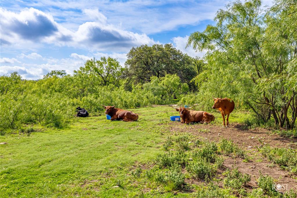 4785 County Road 1115