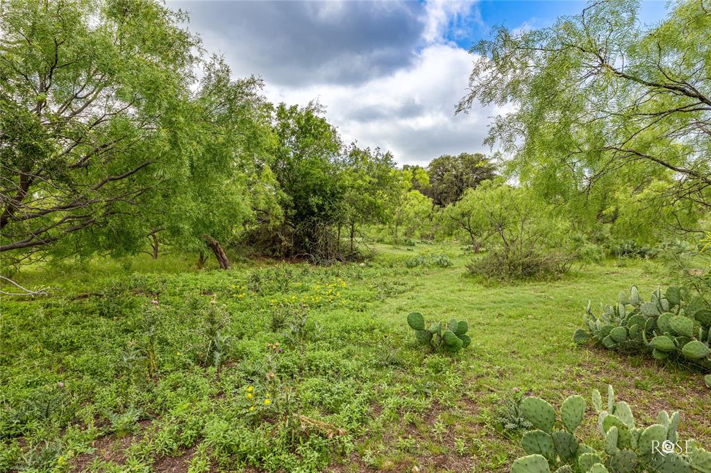 4785 County Road 1115