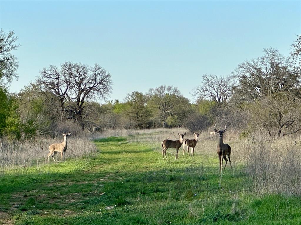 Feather Bay Sub Ph - Land