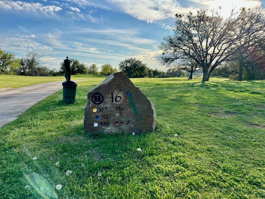 Lot 103, about a third of an acre, on Falcon Drive in the Kings Point Cove Resort Community is a nice real estate lot for sale near Lake Brownwood in Central Texas. This interior lot is located on the golf course and near Lake Brownwood. The lot is currently awaiting the installation of streets and utilities.  It has approximately 62 feet of road frontage, is fairly level, and backs up to the golf course at Tee Box 16.  This lot is in the amazing resort community of King’s Point Cove and The Hideout Golf Club. This is a great investment. Ownership of this property includes 4 free rounds of golf each month on the 18-hole Championship Hideout Golf Course, reduced rates for the RV Park, cabins, and ranch house. And unlimited access to multiple amenities including: two pools, hot tub, two playgrounds, sand volleyball court, driving range, putting green, fishing pond, resort lodge, restaurant, and more. Plus, a private community boat dock on Lake Brownwood is planned.