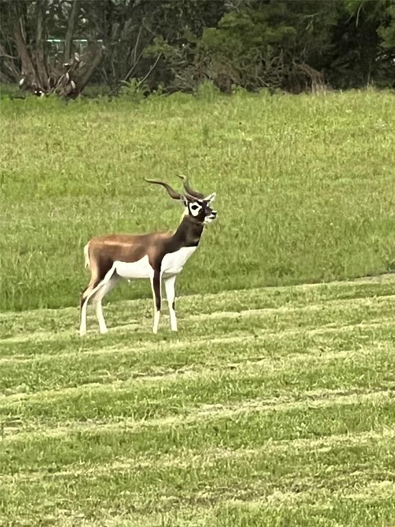 Crossbow Ranch & Wildlife Pre - Residential