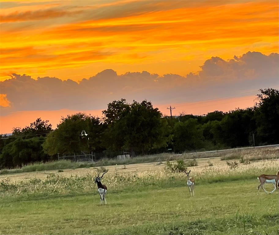 Crossbow Ranch & Wildlife Pre - Residential