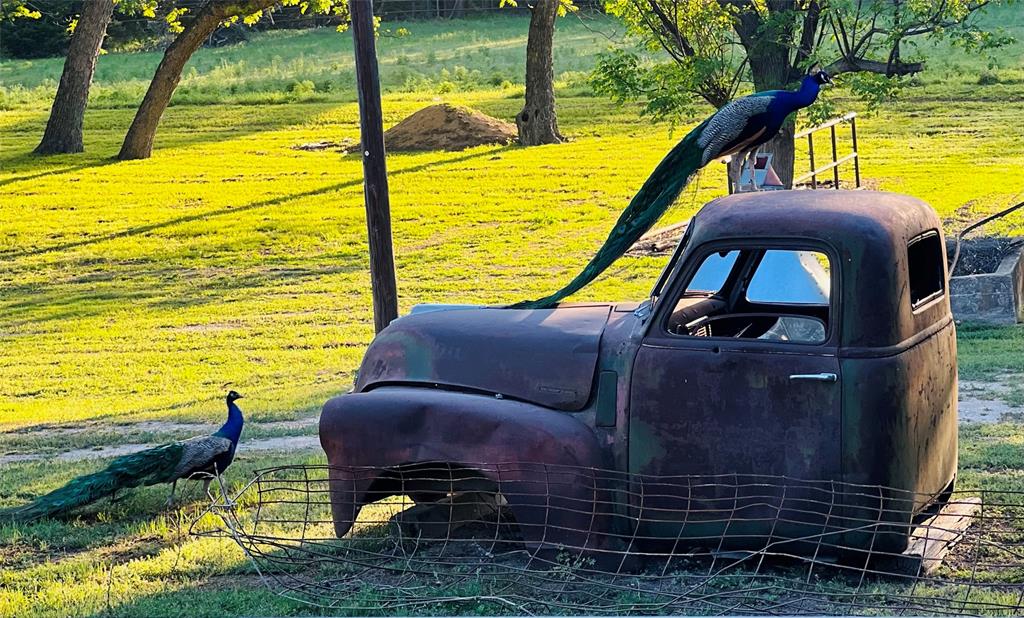 Crossbow Ranch & Wildlife Pre - Residential