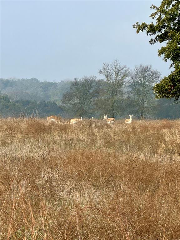 Crossbow Ranch & Wildlife Pre - Residential