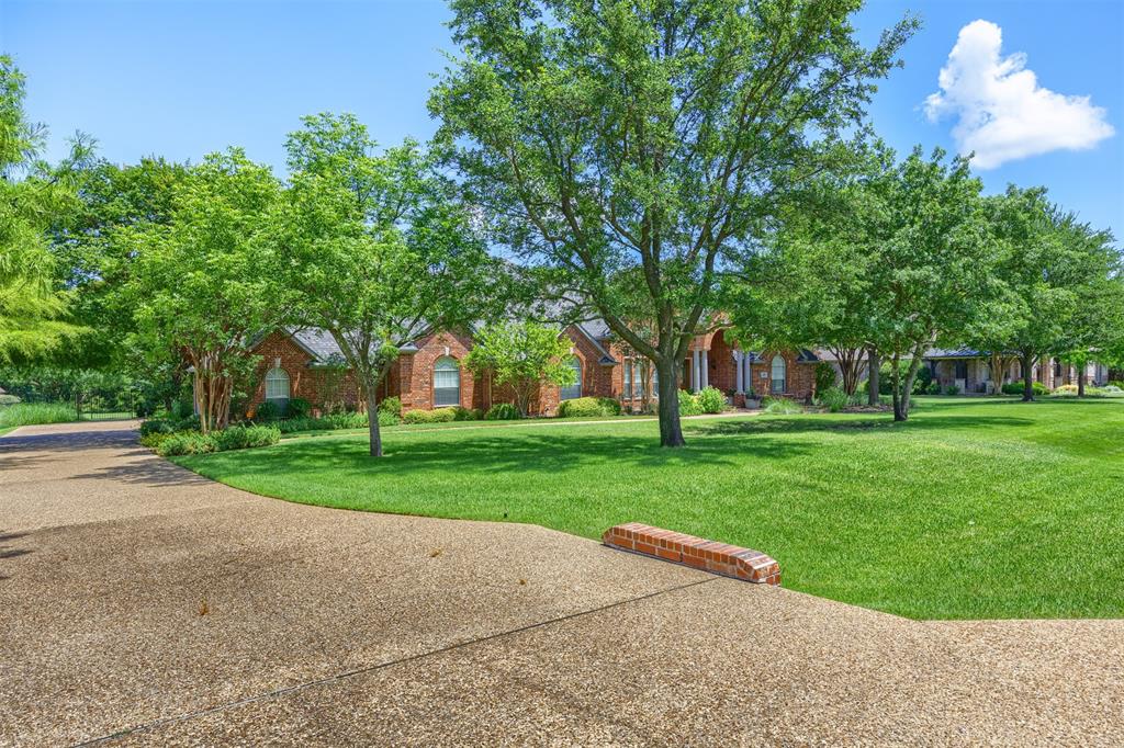 440 Palomino Way