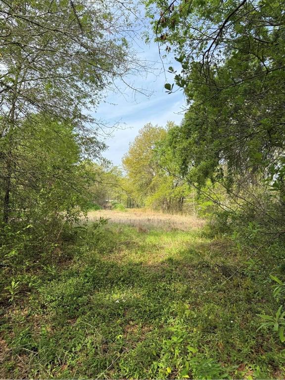 Harbor Point Sec 01 - Land