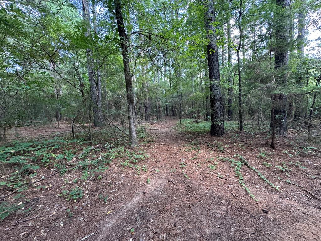 000 Meadow View Lane