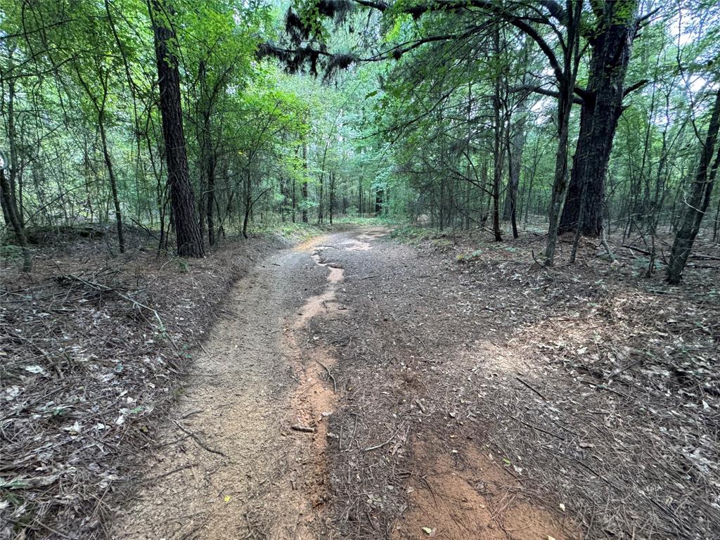 000 Meadow View Lane