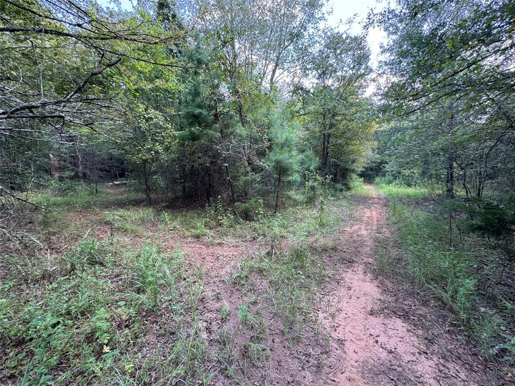 000 Meadow View Lane