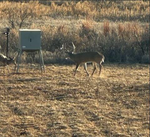 TBD County Road 124