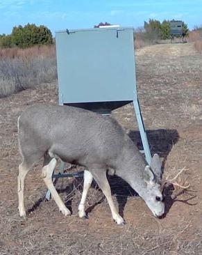 TBD County Road 124