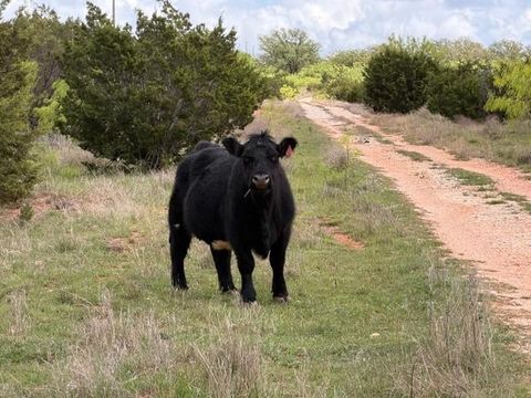 Photo of 2221 Lemons Gap Road, Ovalo, TX 79541 (MLS # 21237877)