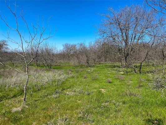 1700 DON LEE RD, JOSHUA, TX 76058 - Image 2ecd67ebd7c2e0ab556f9eae9c052e3d/251851835