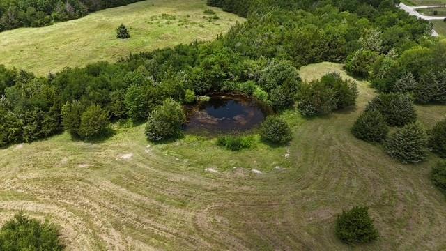 Ruth Peckam Surv Abs A0175 - Land