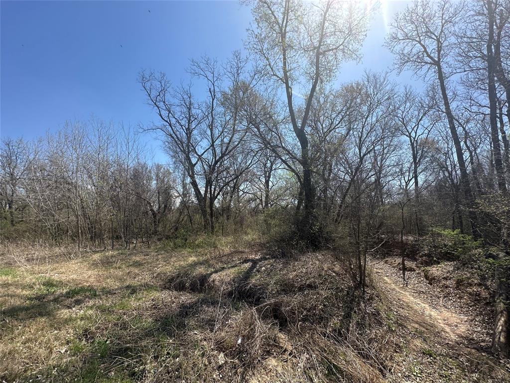 00 County Road 3855