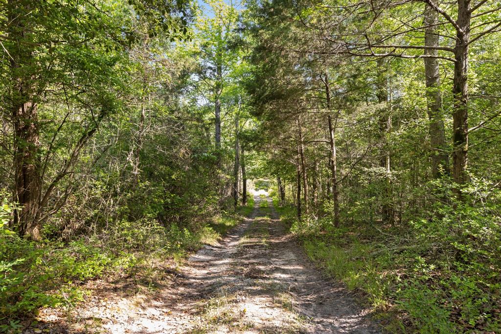 George Myers Surv Abs # 643 - Farm