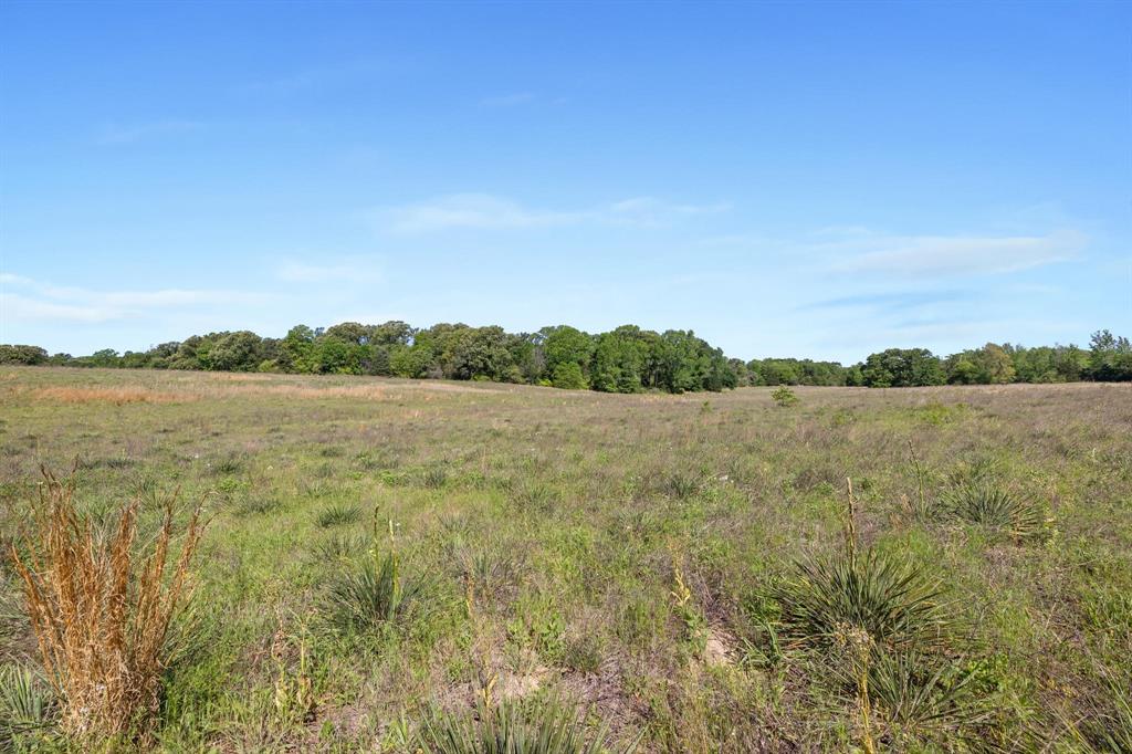 George Myers Surv Abs # 643 - Farm