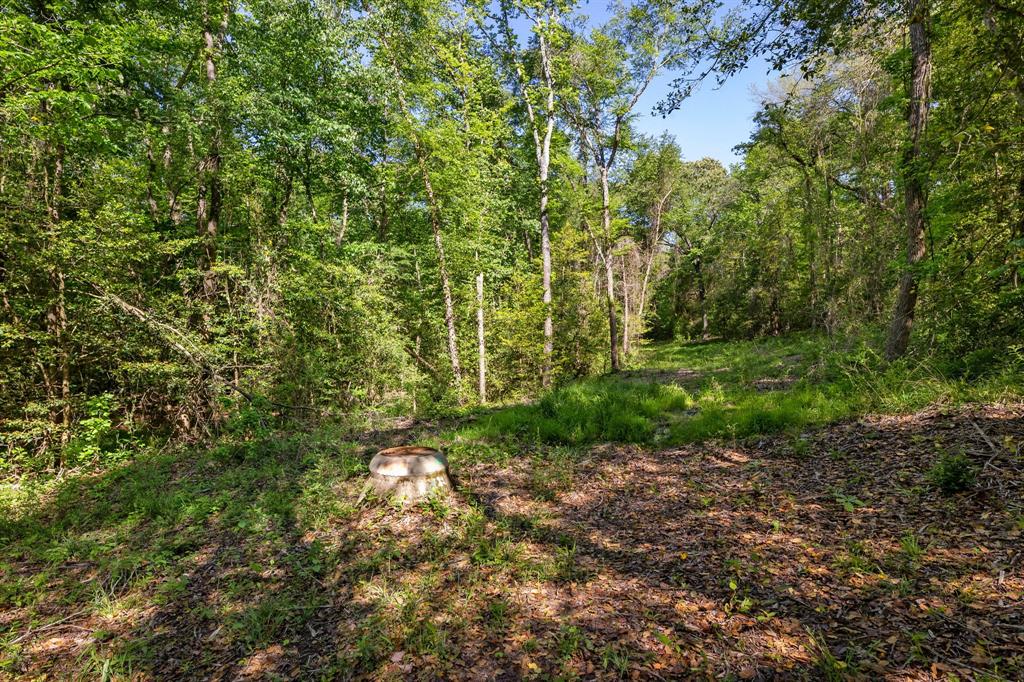 George Myers Surv Abs # 643 - Farm