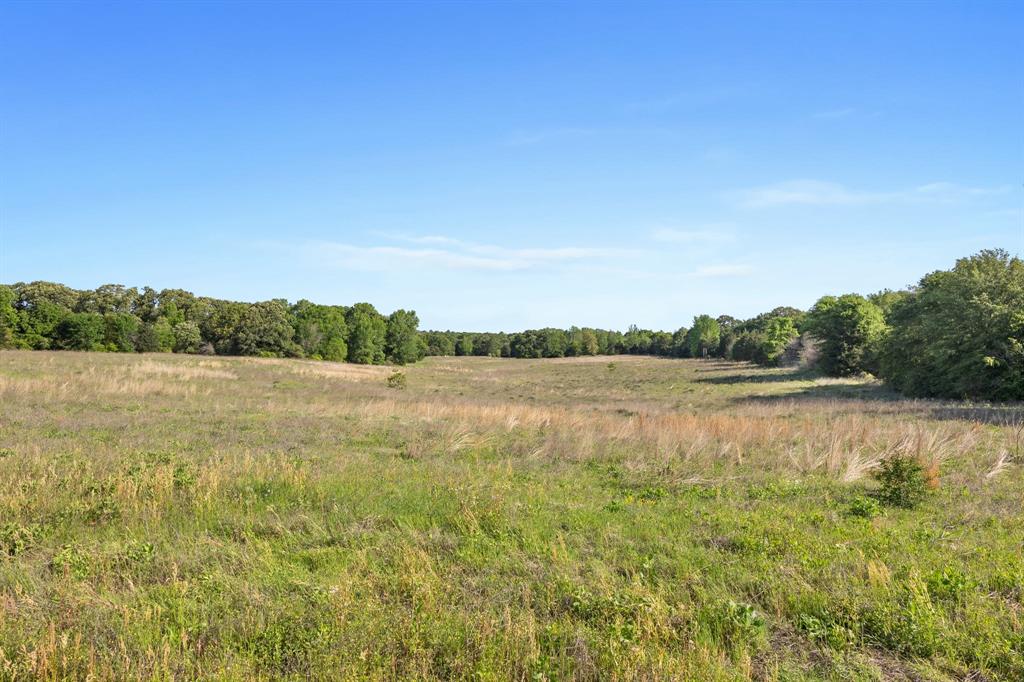 George Myers Surv Abs # 643 - Farm