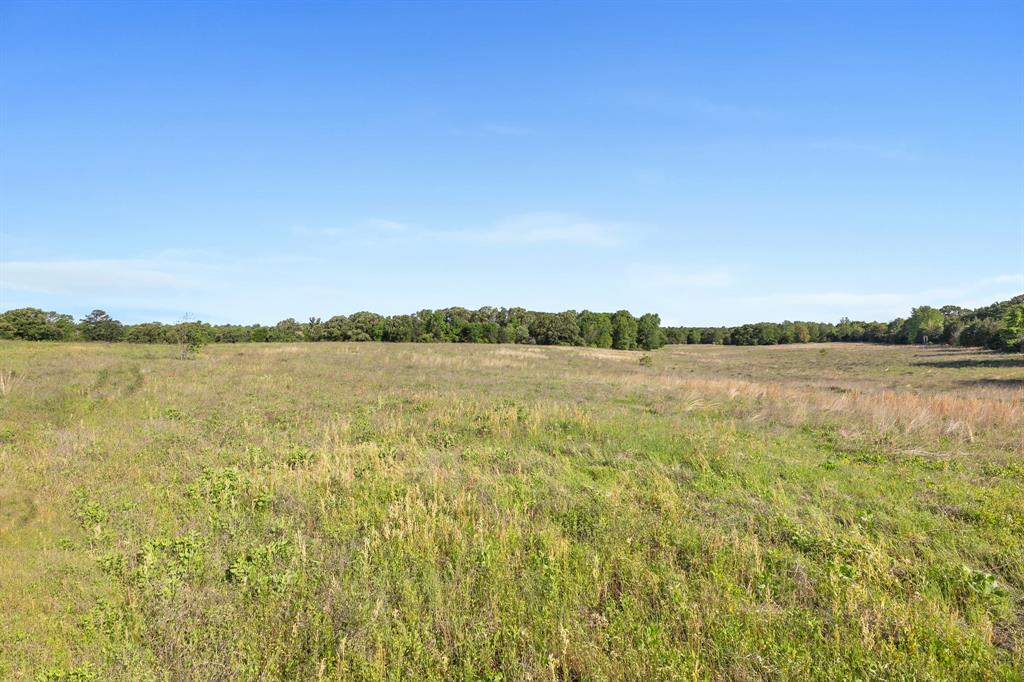 George Myers Surv Abs # 643 - Farm