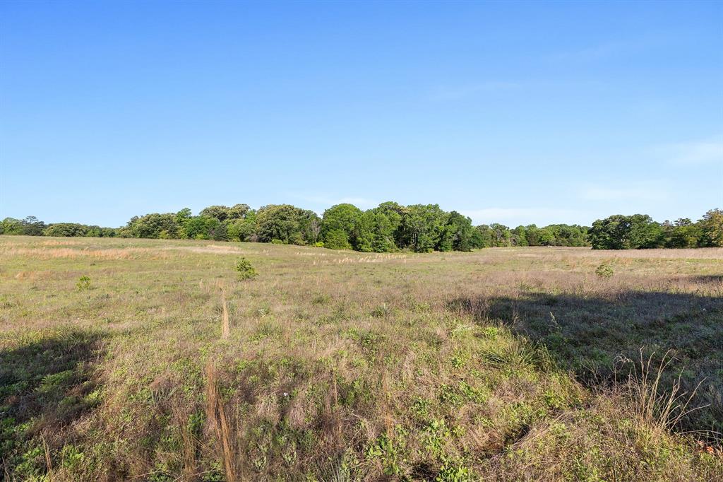 George Myers Surv Abs # 643 - Farm