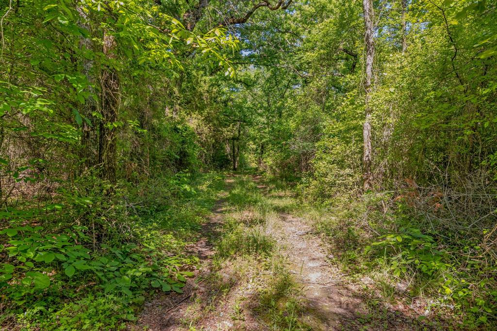 George Myers Surv Abs # 643 - Farm