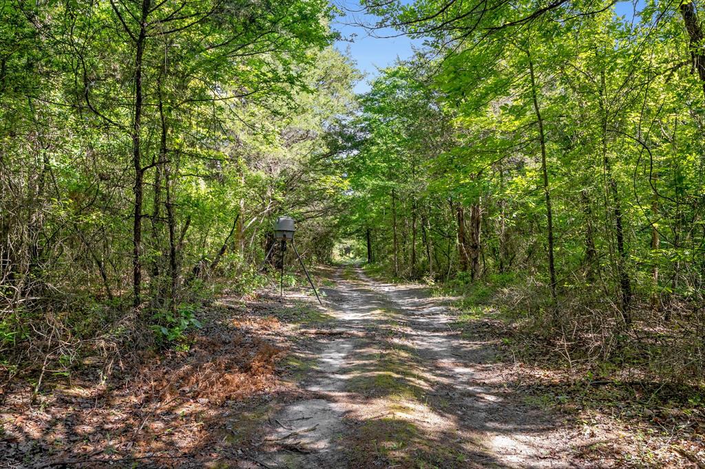 George Myers Surv Abs # 643 - Farm