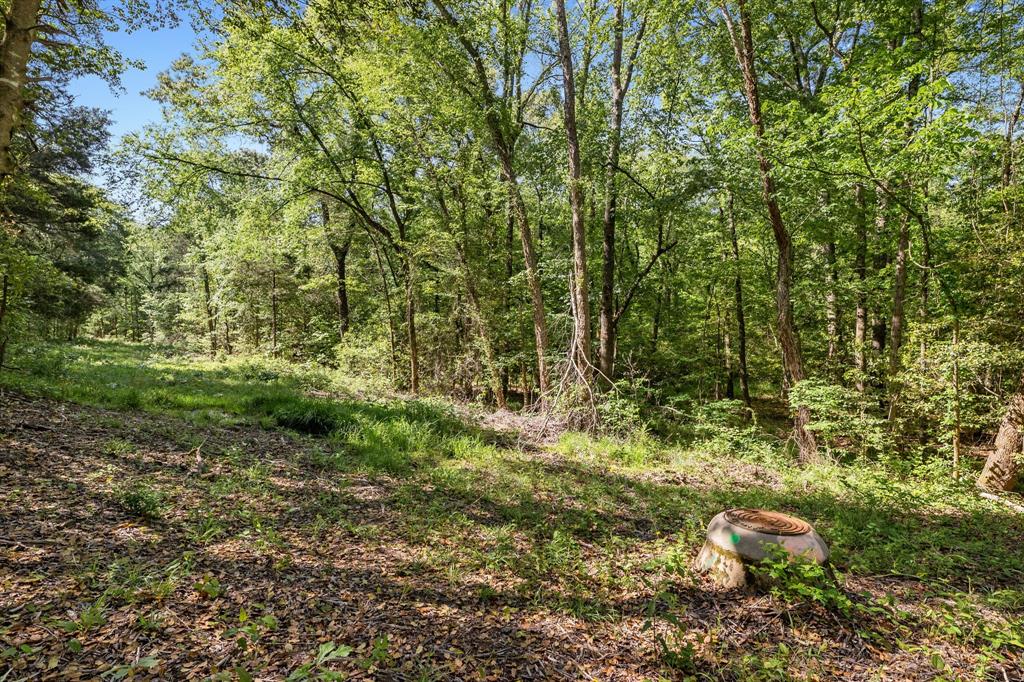 George Myers Surv Abs # 643 - Farm