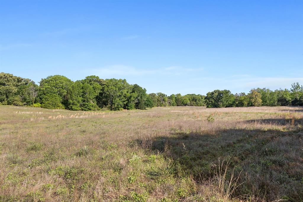 George Myers Surv Abs # 643 - Farm