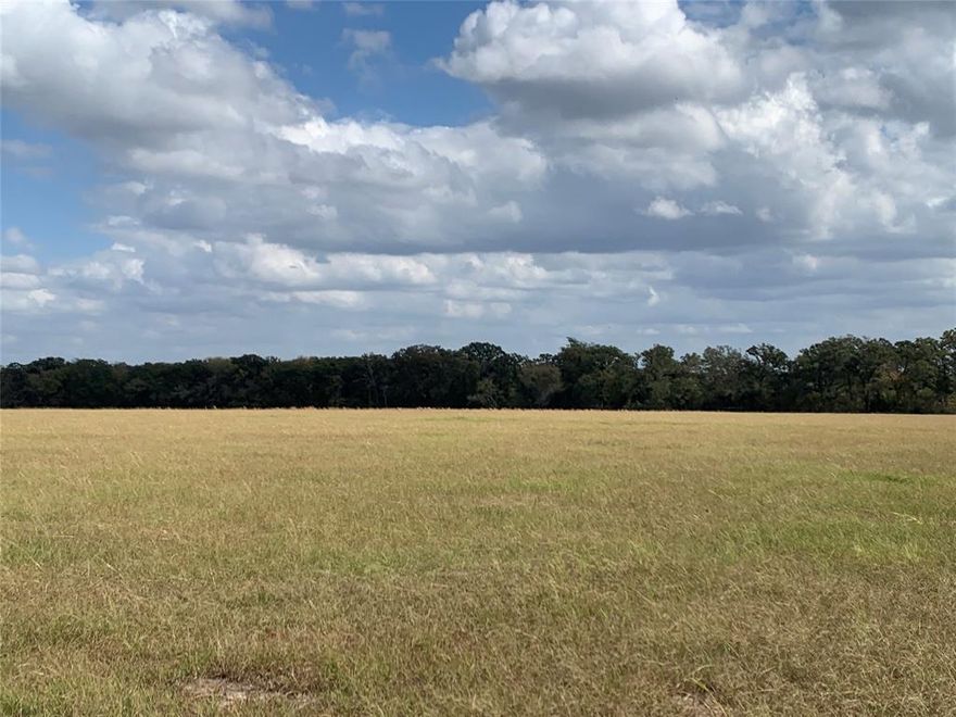 Rare opportunity to own a large chunk of ranchland in East Central Texas! Plus or minus 1,255 acre ranch in northern Freestone County, Texas.  This ranch is approximately thirty percent open pastureland and seventy percent hardwood timber which is predominantly oak.  The open pastureland features an approximately 100 acre hay meadow that is a mixture of improved coastal bermudagrass and bahiagrass.  There are multiple stock tanks that provide adequate water for wildlife and livestock and the sandy loam soils offers its new owner the opportunity to produce abundant forage.  Wildlife is plentiful on this land with white tailed deer, wild feral hog, dove and other small game. The northeastern portion of the ranch is bordered by Tehuacana Creek and is another source of water for wildlife and cattle.  There are seven natural gas wells located on the ranch along with the gravel road infrastructure that provides easier access to more areas of the ranch.  There is ample county road frontage with county road 131 bordering two sides of the ranch and electricity is available.