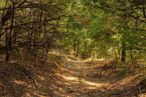 Photo of 4 Acres Tiffany Lane, Whitesboro, TX 76273 (MLS # 21391408)