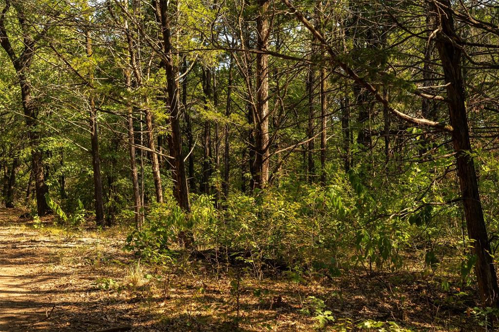 4 Acres Tiffany Lane