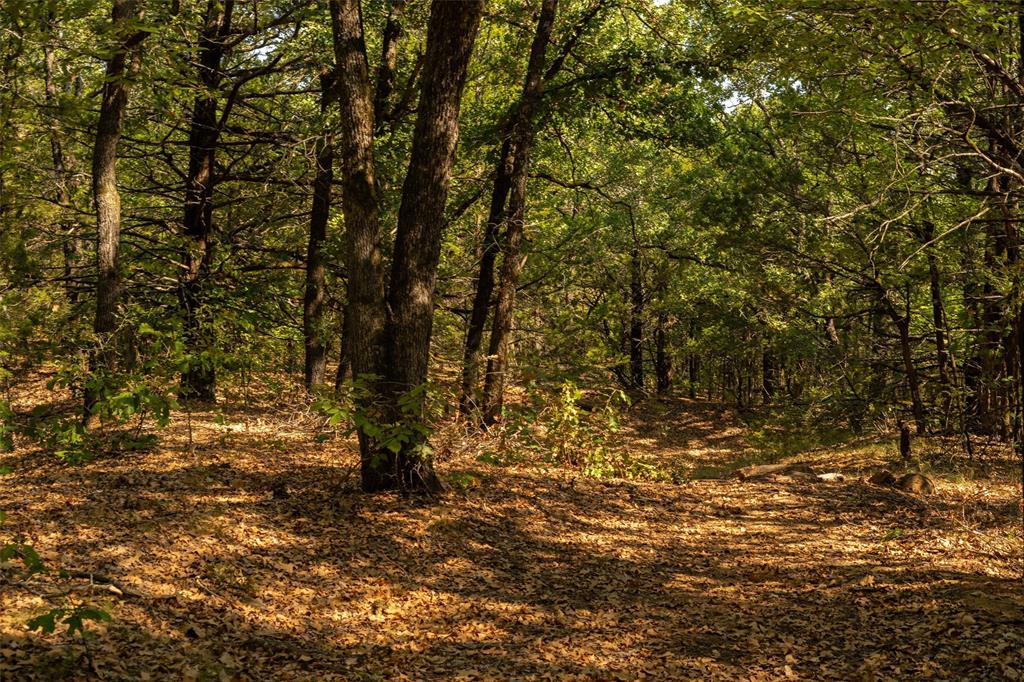 4 Acres Tiffany Lane