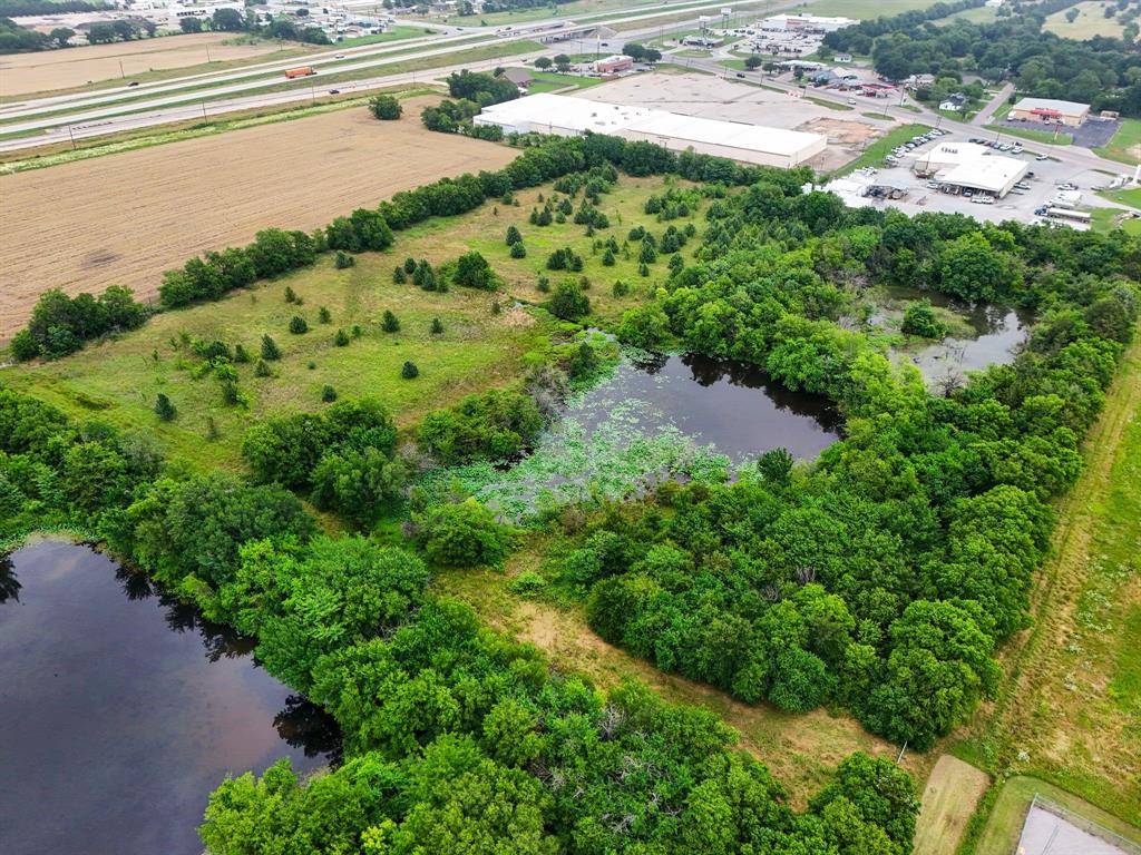 Beau Tess Pep - Land