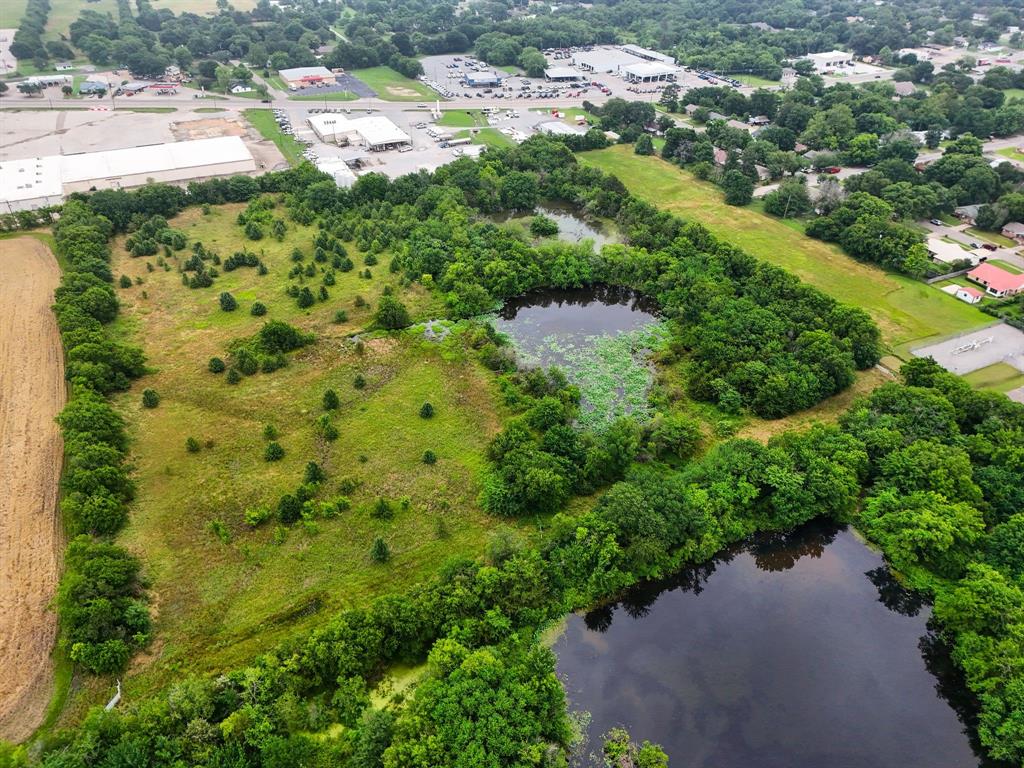 Beau Tess Pep - Land