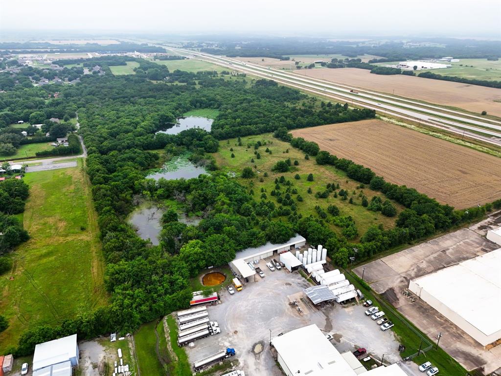 Beau Tess Pep - Land