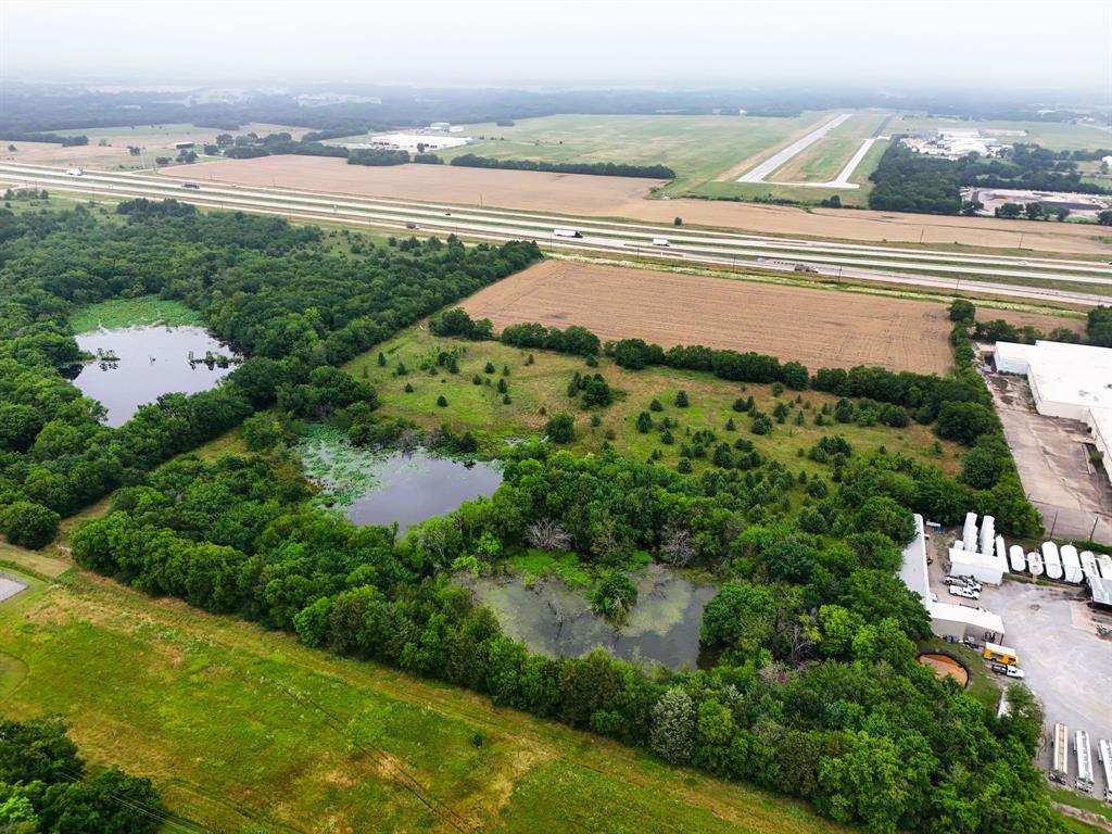 Beau Tess Pep - Land