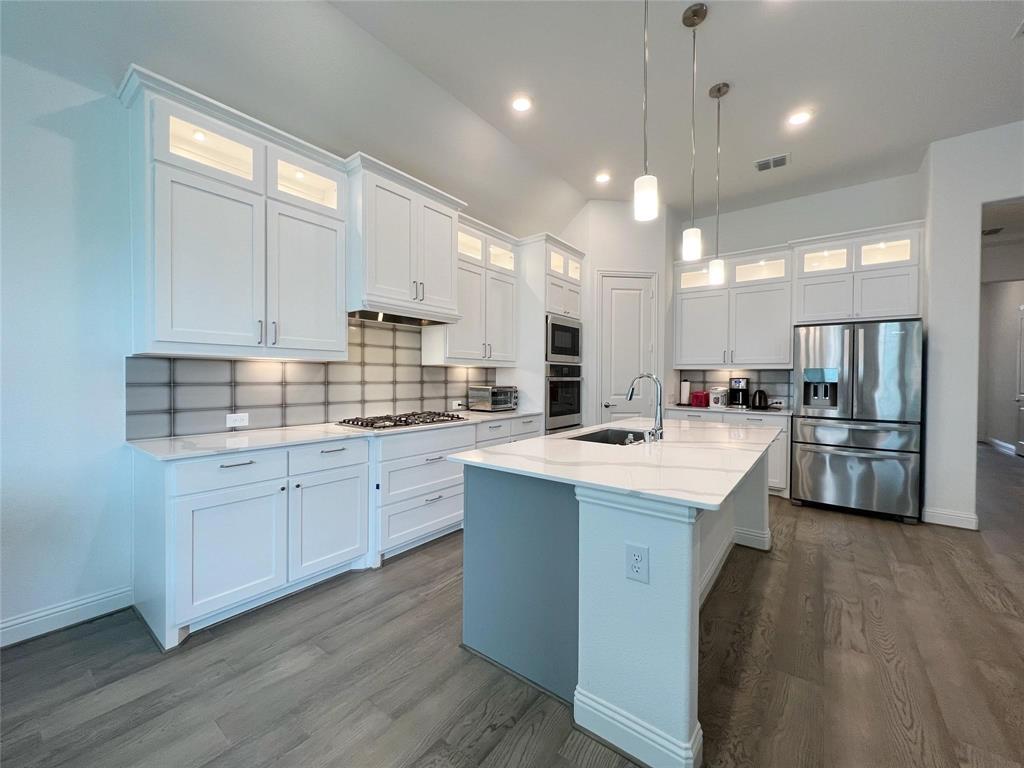 17316 Texas Pistache Drive