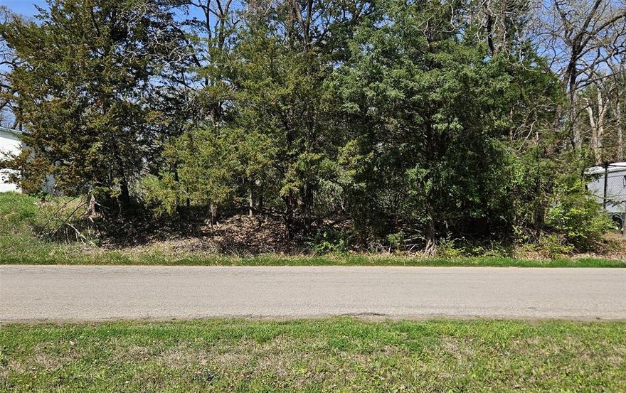 Build your dream home just a short walk from Lake Tawakoni in Walnut Cove. Surrounded by mature trees for privacy and shade. Perfect for a custom home, manufactured home, or RV. This prime lot, surrounded by mature trees, offers endless possibilities. With convenient access to Walnut Creek Marina and docks, enjoy fishing, boating, and scenic views.