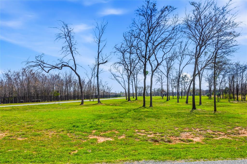 WOOD GLEN ELLEN PHASE II - Land