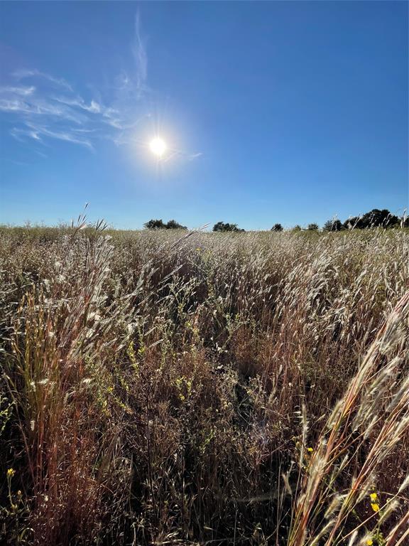 William Sherman Surv A-761 - Land