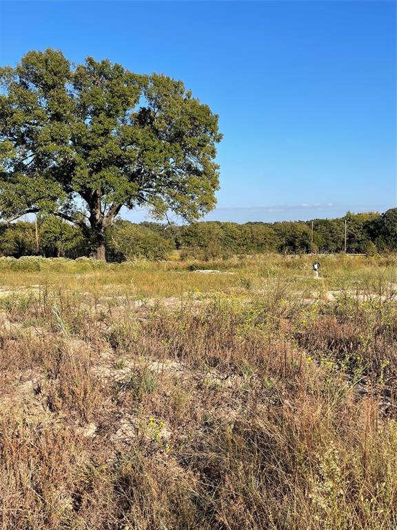 William Sherman Surv A-761 - Land