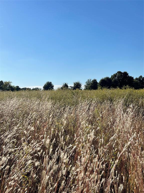 William Sherman Surv A-761 - Land